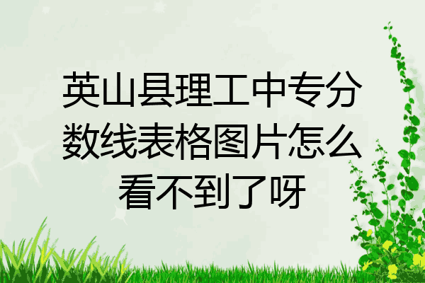 英山县理工中专分数线表格图片怎么看不到了呀