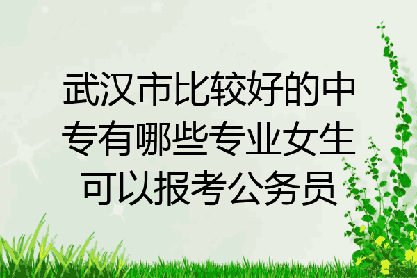 武汉市比较好的中专有哪些专业女生可以报考公务员