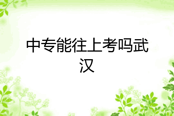中专能往上考吗武汉