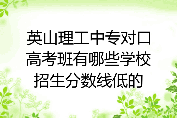 英山理工中专对口高考班有哪些学校招生分数线低的