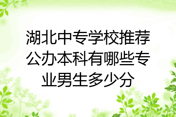 湖北中专学校推荐公办本科有哪些专业男生多少分