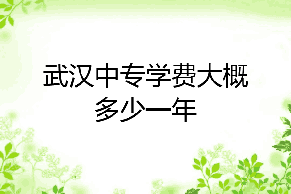 武汉中专学费大概多少一年