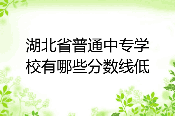 湖北省普通中专学校有哪些分数线低