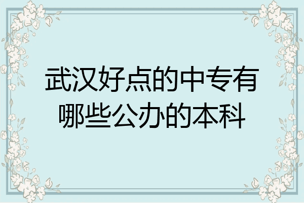 武汉好点的中专有哪些公办的本科