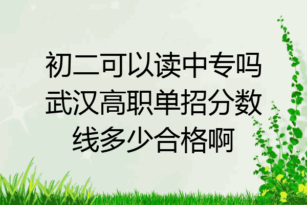 初二可以读中专吗武汉高职单招分数线多少合格啊