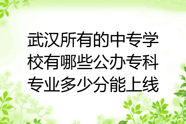武汉所有的中专学校有哪些公办专科专业多少分能上线