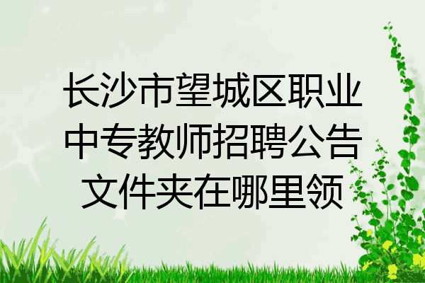 长沙市望城区职业中专教师招聘公告文件夹在哪里领