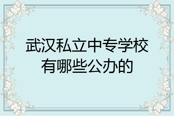武汉私立中专学校有哪些公办的