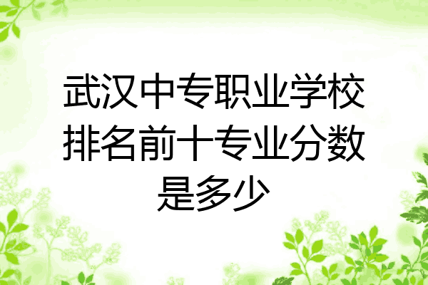 武汉中专职业学校排名前十专业分数是多少