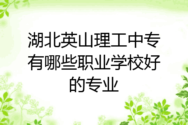 湖北英山理工中专有哪些职业学校好的专业