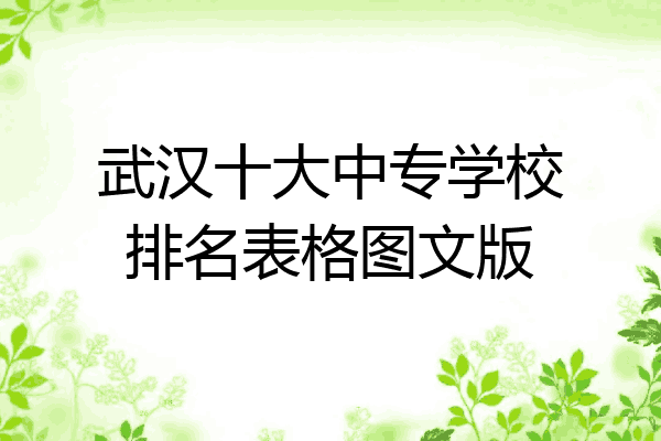武汉十大中专学校排名表格图文版