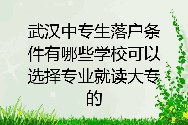 武汉中专生落户条件有哪些学校可以选择专业就读大专的