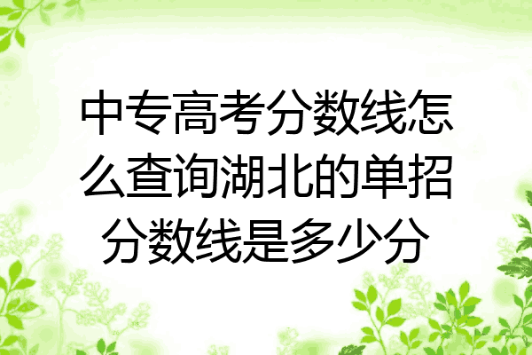 中专高考分数线怎么查询湖北的单招分数线是多少分