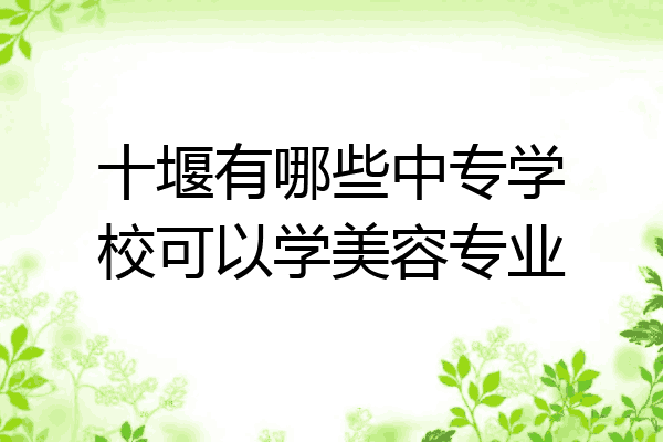十堰有哪些中专学校可以学美容专业
