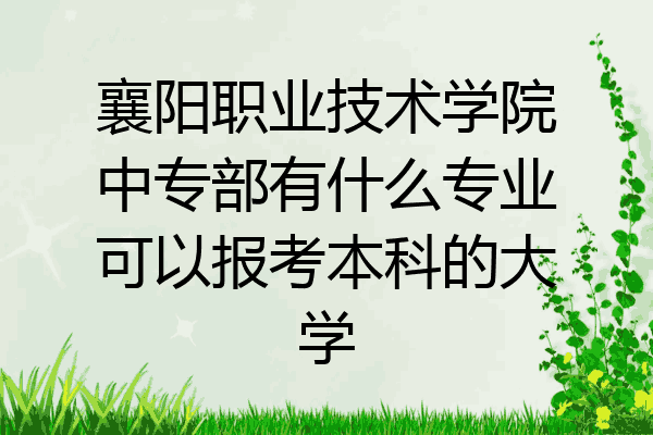 襄阳职业技术学院中专部有什么专业可以报考本科的大学