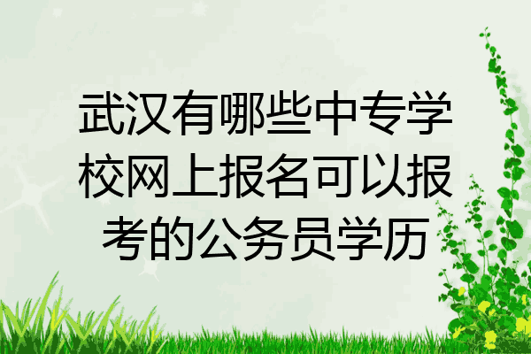 武汉有哪些中专学校网上报名可以报考的公务员学历
