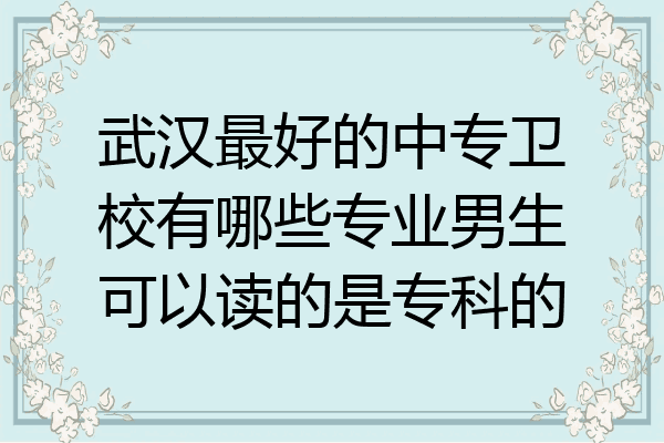 武汉最好的中专卫校有哪些专业男生可以读的是专科的