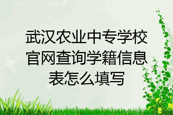 武汉农业中专学校官网查询学籍信息表怎么填写