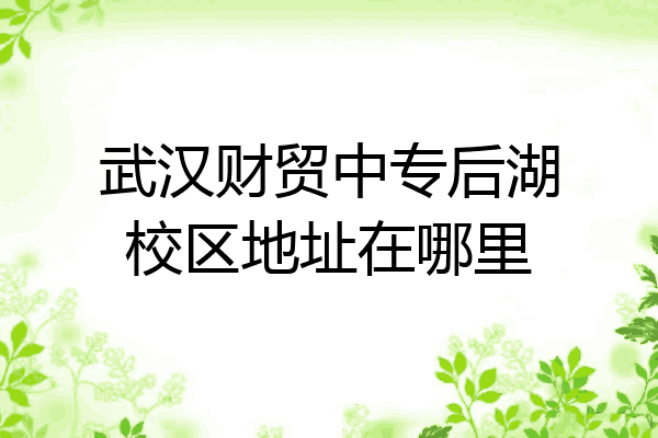 武汉财贸中专后湖校区地址在哪里