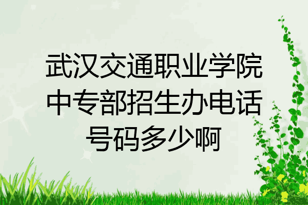 武汉交通职业学院中专部招生办电话号码多少啊