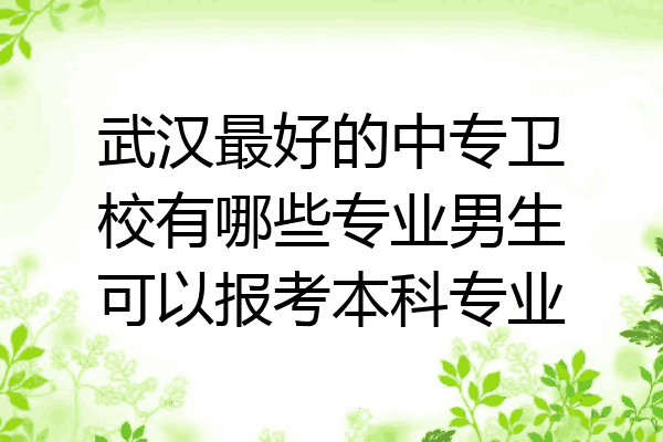 武汉最好的中专卫校有哪些专业男生可以报考本科专业
