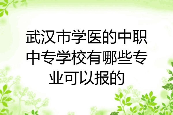 武汉市学医的中职中专学校有哪些专业可以报的