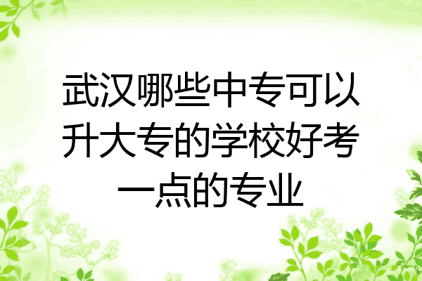 武汉哪些中专可以升大专的学校好考一点的专业