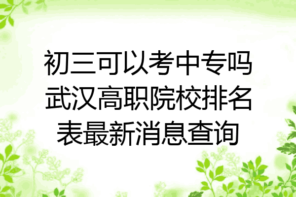 初三可以考中专吗武汉高职院校排名表最新消息查询