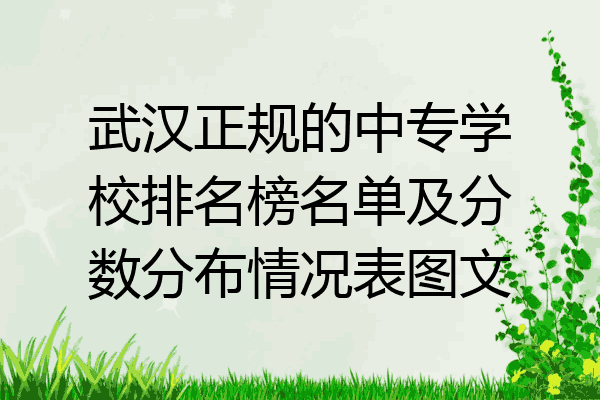 武汉正规的中专学校排名榜名单及分数分布情况表图文