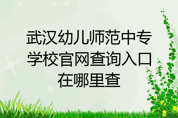 武汉幼儿师范中专学校官网查询入口在哪里查