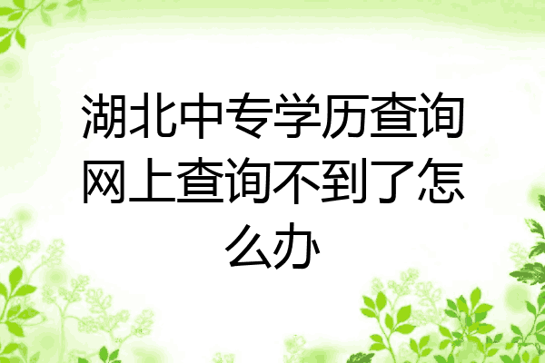湖北中专学历查询网上查询不到了怎么办