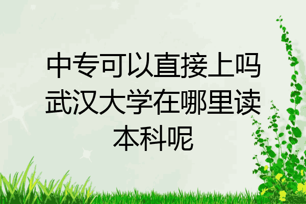 中专可以直接上吗武汉大学在哪里读本科呢