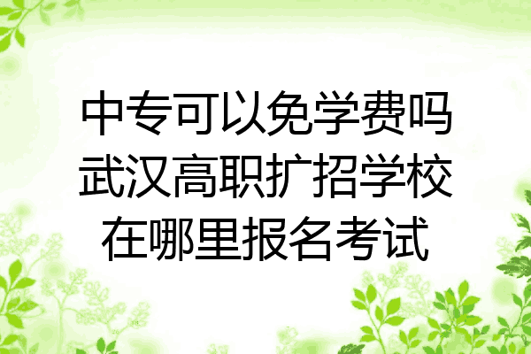 中专可以免学费吗武汉高职扩招学校在哪里报名考试