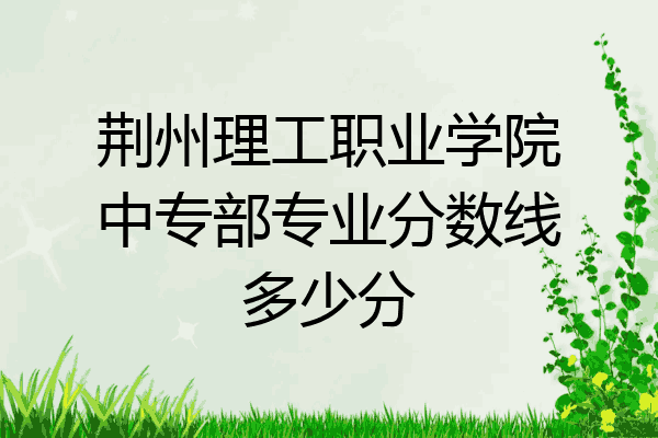荆州理工职业学院中专部专业分数线多少分