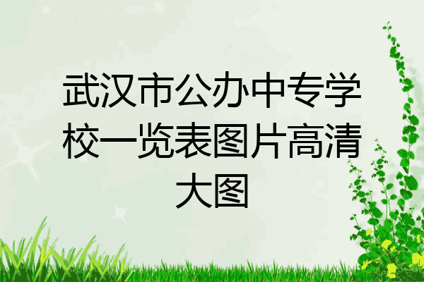 武汉市公办中专学校一览表图片高清大图