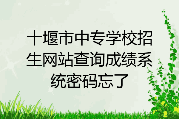 十堰市中专学校招生网站查询成绩系统密码忘了