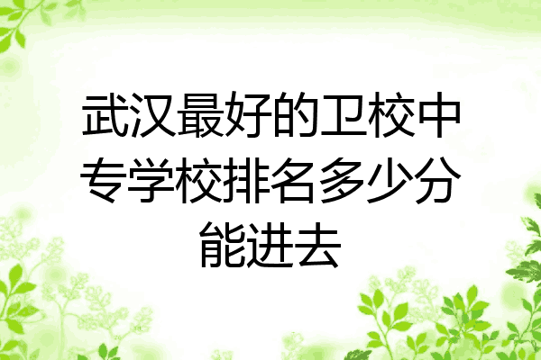武汉最好的卫校中专学校排名多少分能进去