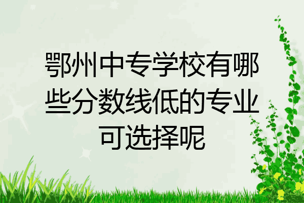 鄂州中专学校有哪些分数线低的专业可选择呢