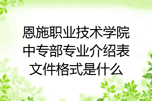 恩施职业技术学院中专部专业介绍表文件格式是什么