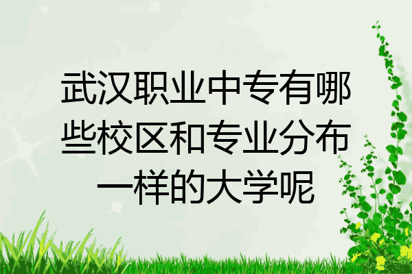 武汉职业中专有哪些校区和专业分布一样的大学呢