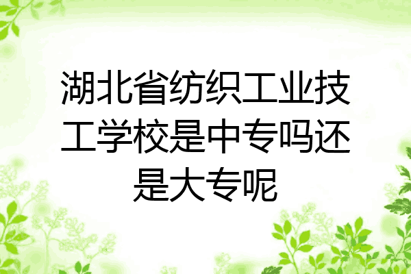 湖北省纺织工业技工学校是中专吗还是大专呢
