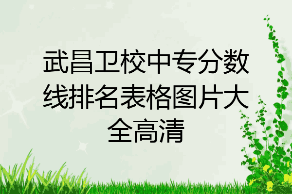 武昌卫校中专分数线排名表格图片大全高清