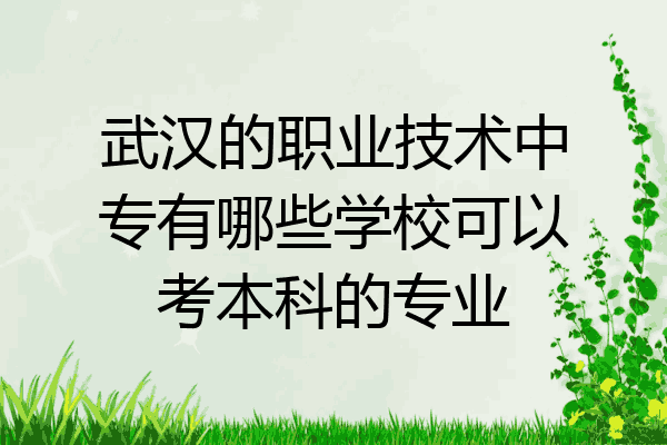 武汉的职业技术中专有哪些学校可以考本科的专业