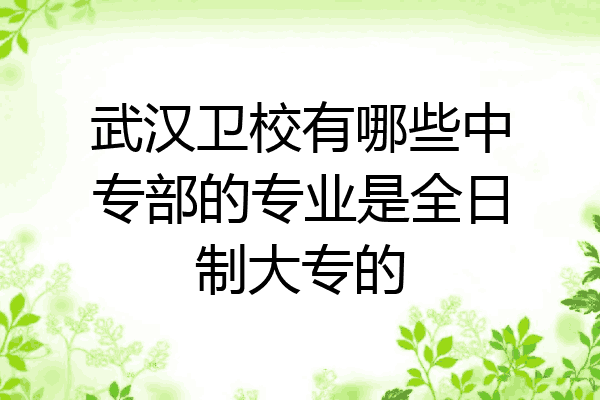 武汉卫校有哪些中专部的专业是全日制大专的