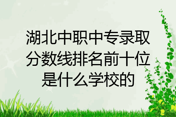 湖北中职中专录取分数线排名前十位是什么学校的