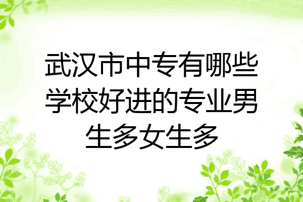 武汉市中专有哪些学校好进的专业男生多女生多