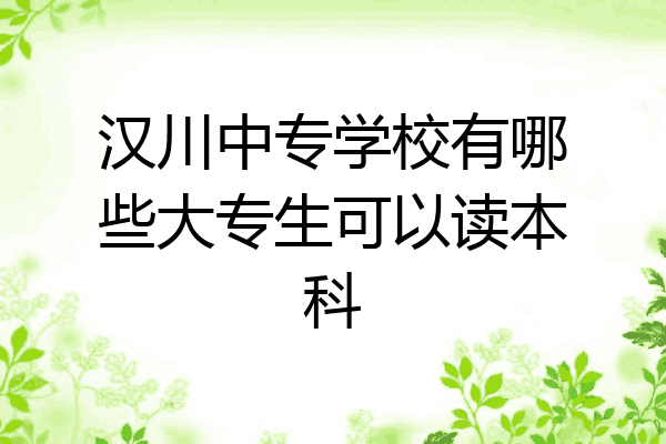 汉川中专学校有哪些大专生可以读本科