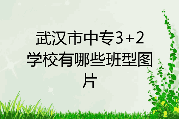 武汉市中专3+2学校有哪些班型图片