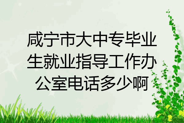 咸宁市大中专毕业生就业指导工作办公室电话多少啊