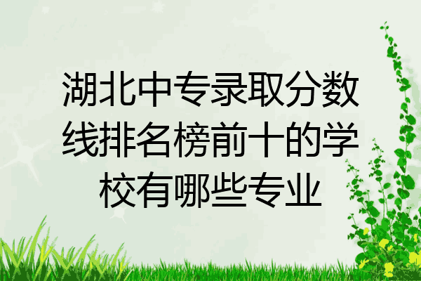 湖北中专录取分数线排名榜前十的学校有哪些专业